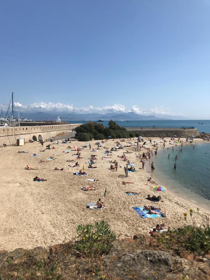 Antibes Tres Belle Situation ! Apartment Екстериор снимка